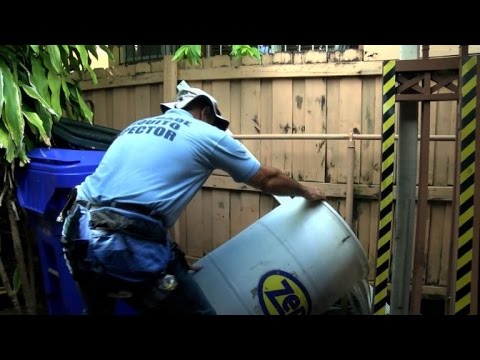 بالفيديو تكثيف الجهود لمكافحة فيروس زيكا القاتل