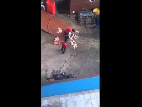 بالفيديو عمال المطعم يقومون بغسل الدجاج على الأرض