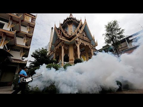 تايلاند تسجل أول حالتي صغر حجم الرأس بسبب فيروس زيكا