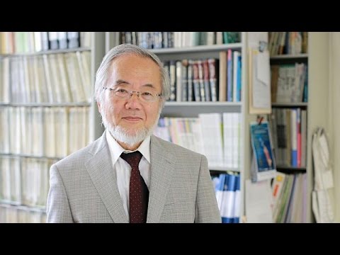 بالفيديو  فوز الياباني يوشينوري أوسومي بجائزة نوبل للطب لعام 2016