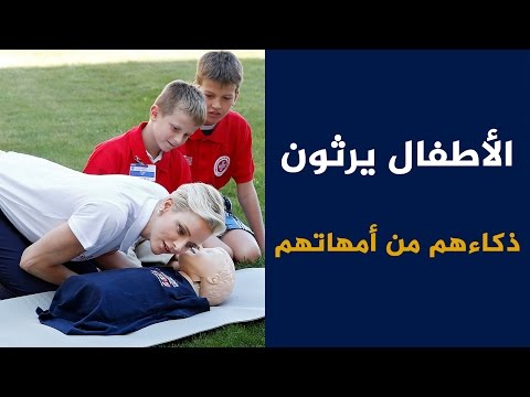 شاهد الأطفال يرثون ذكائهم من أمهاتهم