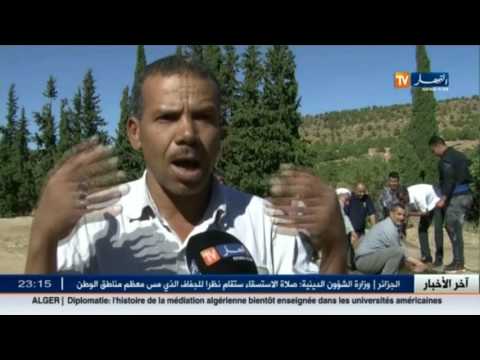 شاهد إقبال مرضى الكلى على ينابيع عين البرانيس أملًا في الشفاء