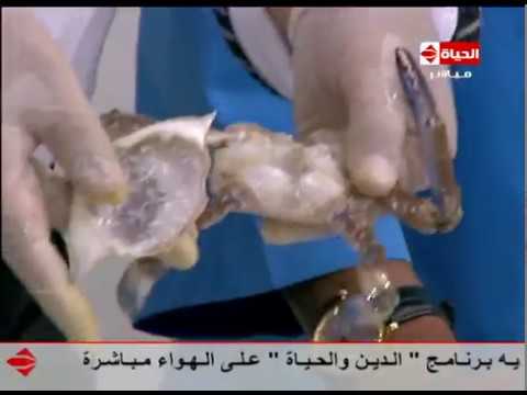 شاهد طريقة كابوريا محشية مرتة