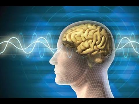 شاهد سورة في القرآن تقضي على مرض الزهايمر