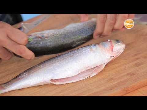 شاهد طريقة إعداد سمك بوري مشوي
