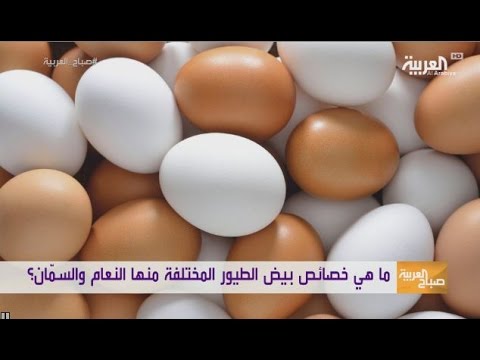 بالفيديو  تعرف على خصائص بيض النعام والسمان