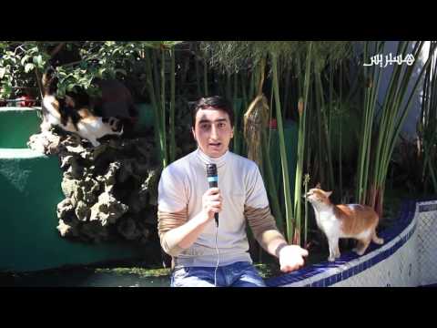 شاهد مديرة مركز ليوشندي تتفقد الوحدات البيطرية في طنجة