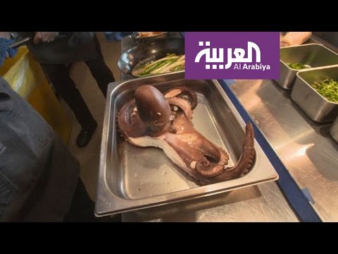 بالفيديو طبق الأخطبوط المبهّر مع الخضار ضمن برامج السياحة في أورلاندو
