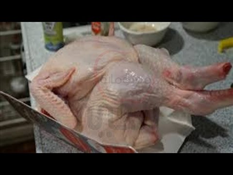 بالفيديو  كيف يمكنك التعرف على الدجاج المسرطن