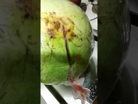 شاهد انفجار بطيخة بعد حقنها بمواد غريبة