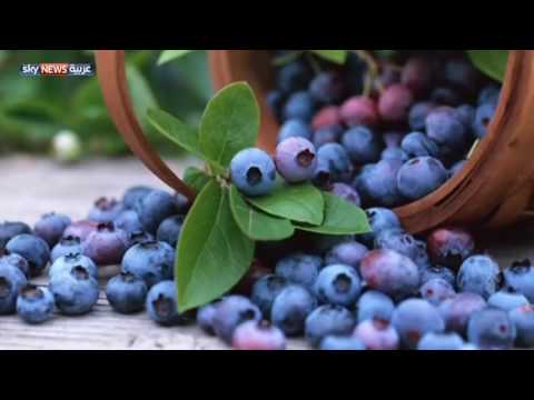 بالفيديو تعرف على فوائد الأطعمة البنفسجية
