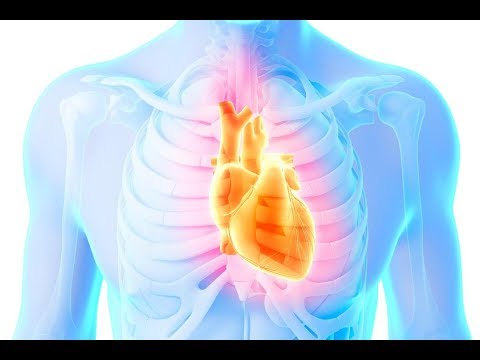 شاهد 10 إنذارات يطلقها الجسم قبل شهر من حدوث الأزمة القلبية