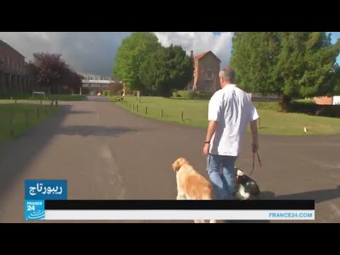 علاج الأمراض النفسية بواسطة الكلاب