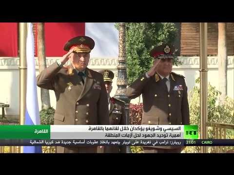 السيسي وشويغو يؤكدان أهمية توحيد الجهود لمحاربة التطرف