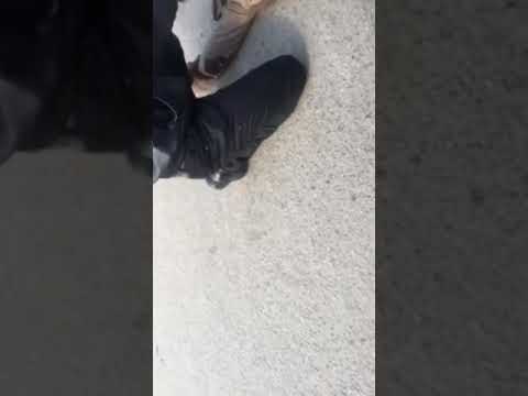 شاهد مقتل أول متطرف في حلوان حاول اختراق كنيسة