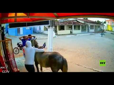 لصا نينجا يسرقان متجرًا على ظهر حصان في البرازيل