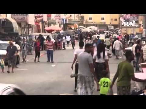 بالفيديو حمى الضنك تحصد أرواح اليمنيين