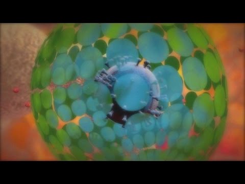 بالفيديو تعرف على فيروس الأيدز وكيفية علاجه