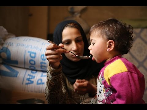 شاهد برنامج الأغذية العالمي يخفض المساعدات للاجئين السوريين