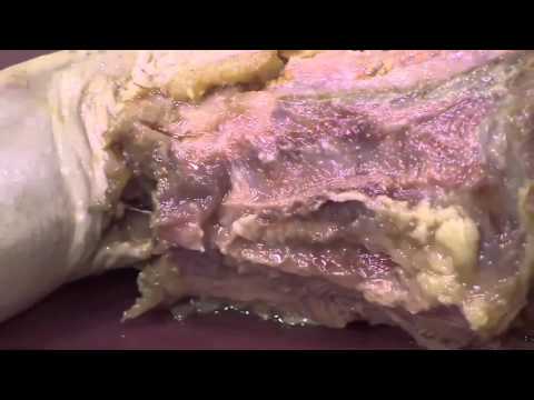 بالفيديو طريقة سهلة وسريعة لعمل اللسان