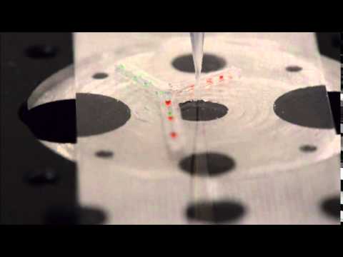 ثورة فى عالم الطباعة 3dاستخدامها فى تجديد الأعصاب