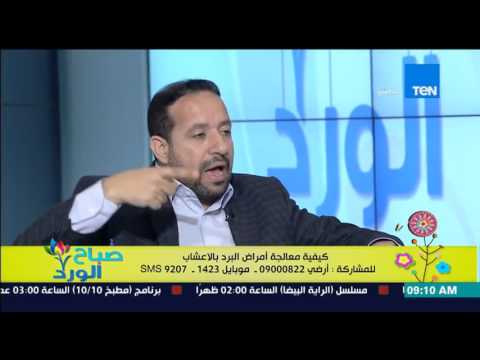 شاهد وصفة لعلاج ارتفاع حرارة الجسم المصحاب لأمراض البرد