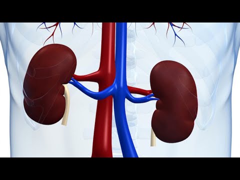 شاهد5  عادات يومية سيئة يجب الإقلاع عنها