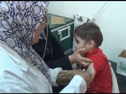 شاهد مخاطر أنفلونزا الخنازير تهدد الشمال السوري