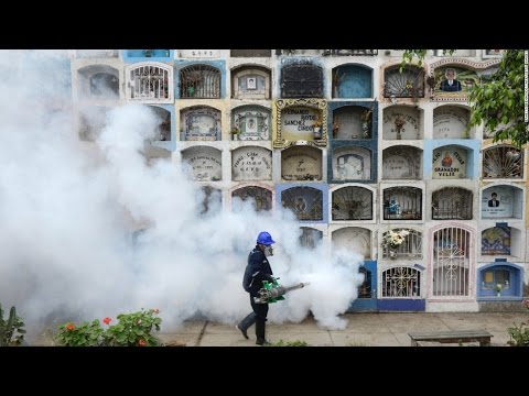 منظمة الصحة العالمية تؤكد أن مكافحة فيروس زيكا ستكون طويلة ومعقدة