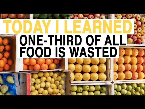 ناشيونال جيوغرافيك تؤكد أن العالم يرمي ثلث طعامه في القمامة