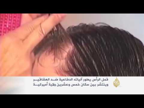 قمل الرأس يطور آلياته الدفاعية ضد العقاقير