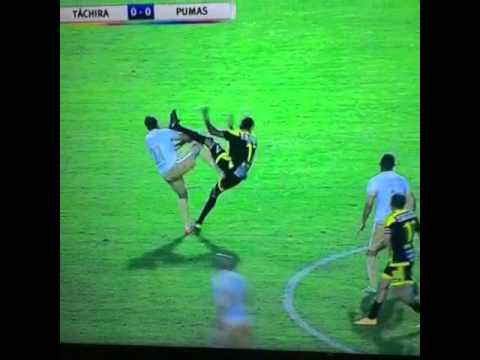 بالفيديو تدخل عنيف بين مهاجم وحارس مرمى