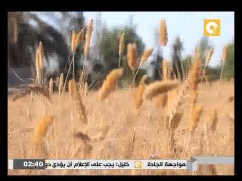 بالفيديو  وزارة الزراعة تعلن بدء حالة طوارئ