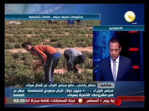 شاهد حسام رفاعي يؤكد أن 90 من مشاريع التنمية في سيناء بعيدة عن شمالها