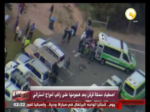 فيديو اصطياد سمكة قرش بعد هجومها على راكب أمواج أسترالي