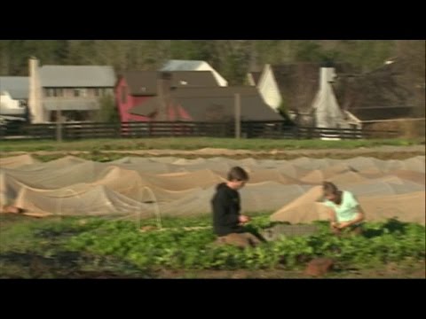 فيديو البحث عن قاتل الديناصورات