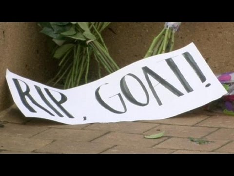 شاهد ماذا قيل في نعي محمد علي كلاي