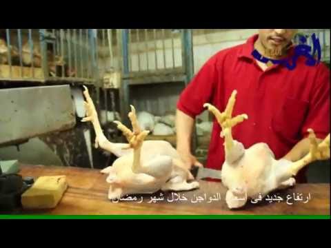 ارتفاع جديد في أسعار الدواجن