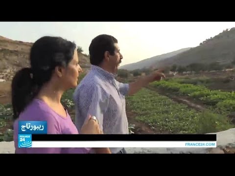 شاهد كنوز زراعية في فلسطين