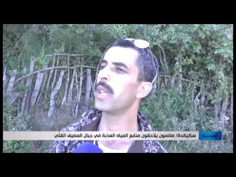 شاهد صائمون يلاحقون منابع المياه العذبة