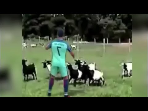 بالفيديو مقاطع ساخرة من احتفال رونالدو بتأهل البرتغال لنهائي يورو 2016