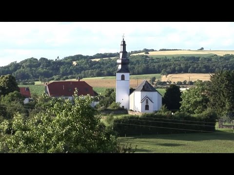 بالفيديو  كأس أوروبا بنكهة خاصة في قرية عند الحدود الألمانية الفرنسية