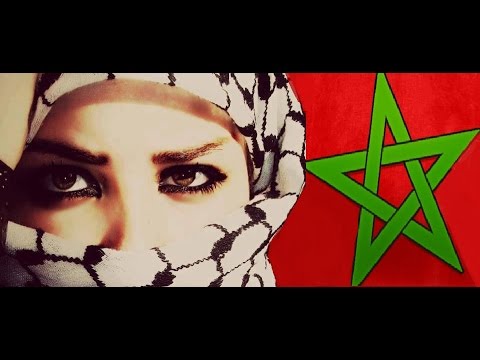 بالفيديو شاهد ما قاله الفلسطينيون عن المغاربة 