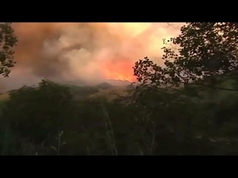 السيطرة على حرائق الغابات بمقاطعة مالقة