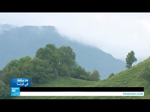 شاهد عائلة الشرطية القتيلة تحصل على حكم بسجن القاتل 20 عامًا