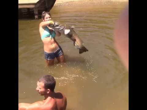 شاهد فتاة تصطاد قرموط ضخم بيديها فقط