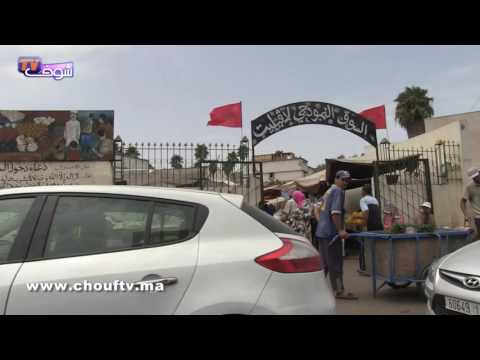 شاهد احتفالات الدار البيضاء في عيد العرش في المغرب