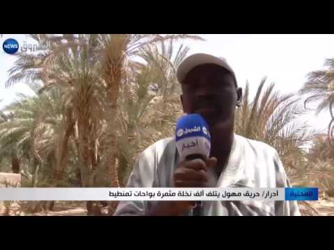 بالفيديو حريق كبير يتلف ألف نخلة مثمرة في واحات تمنطيط