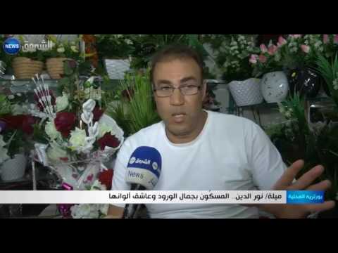 بالفيديو نورالدين يؤكد أنه مسكون بجمال الورود وعاشق ألوانها