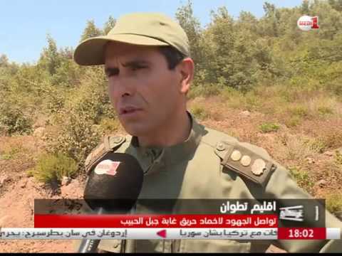 بالفيديو شاهد فرق الإطفاء تسابق الزمن لإخماد حريق غابة جبل الحبيب